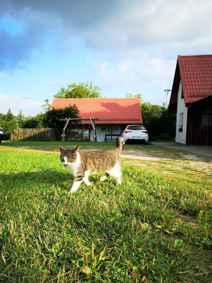 Dylewianka Villa Wysoka Wieś Dış mekan fotoğraf